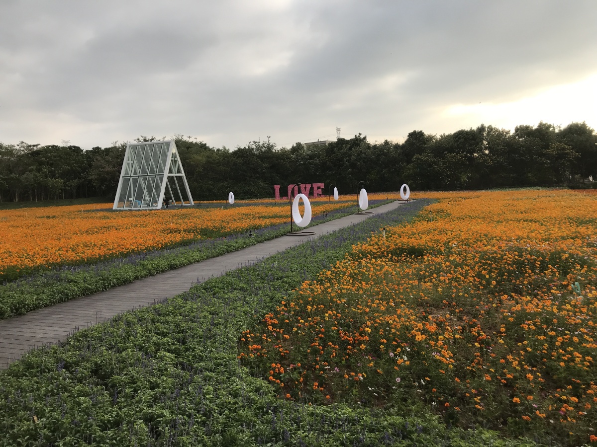 花海- 渔村林少 - 图虫