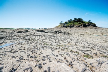 Island at low tide