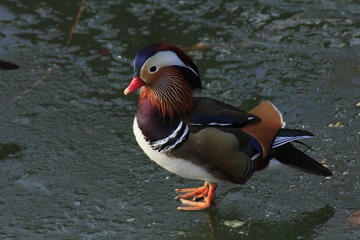 P1010472
