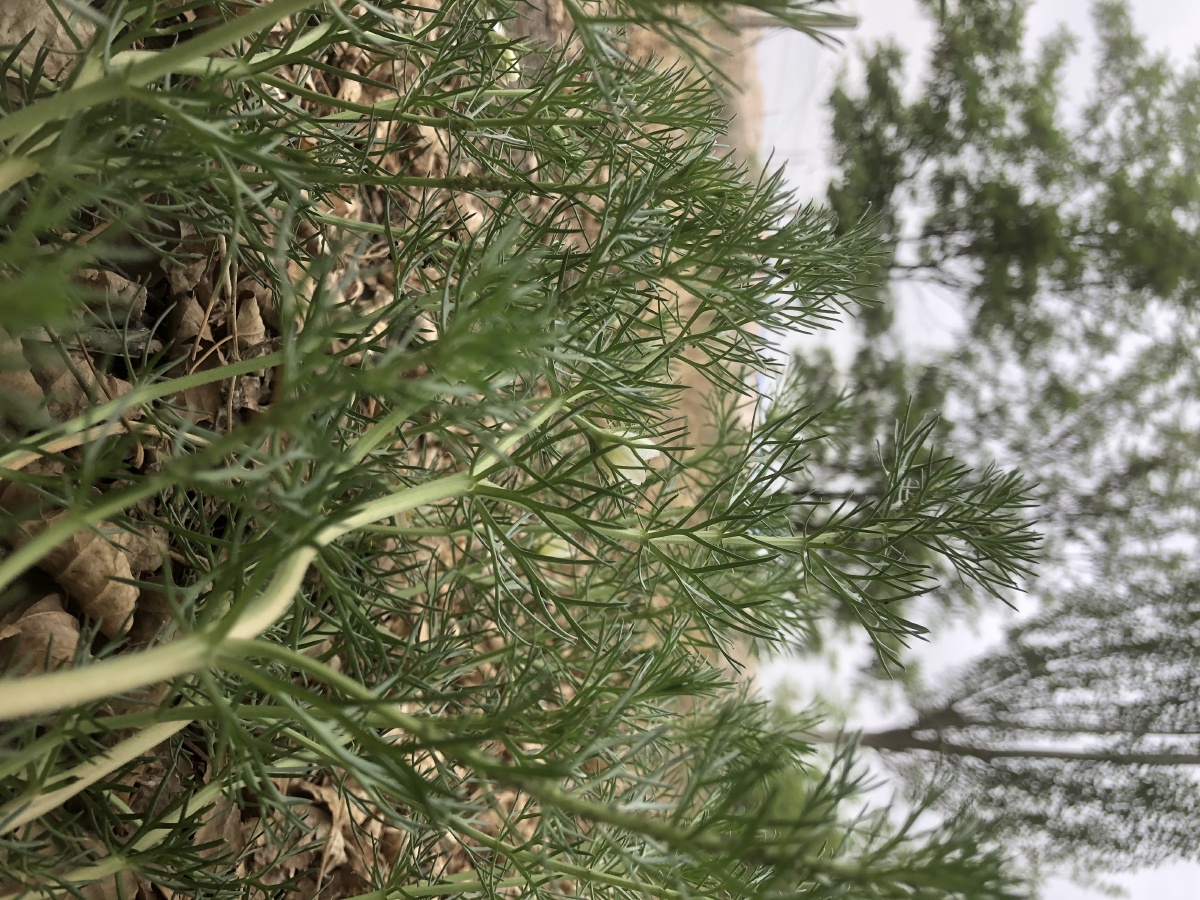 随手拍,不同的角度不同的风景 - 麦兜灬叔叔 - 图虫