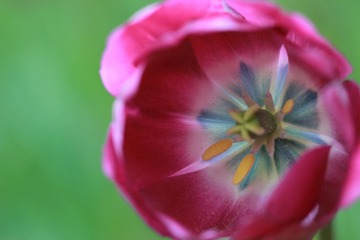 IMG_4192_