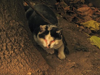 IMG_0043.jpg