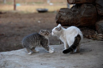 DSC_2891.JPG