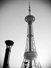 IMG_0020.jpg