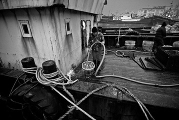 DSC_7950.jpg