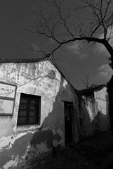 DSC_8160-2.jpg