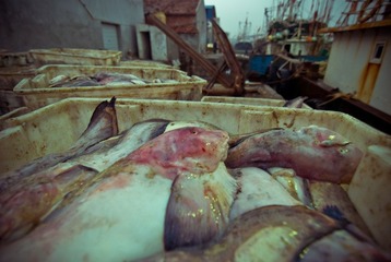 DSC_7956.jpg