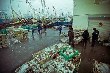 DSC_7972.jpg