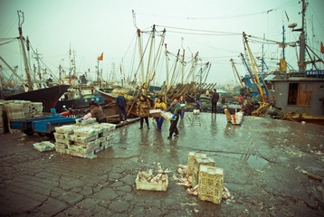 DSC_8000.jpg