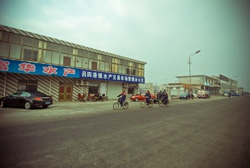 DSC_8017.jpg