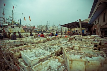 DSC_8018.jpg