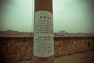 DSC_8028.jpg