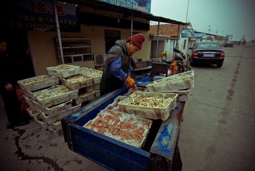 DSC_8029.jpg
