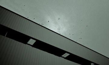 P1090322.jpg
