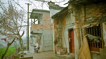 P1090956.jpg