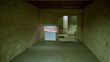 P1090975-2.jpg