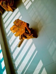 C360_2012-02-28-12-39-29_org.jpg