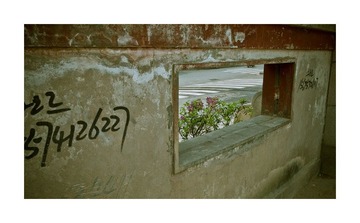 83.jpg