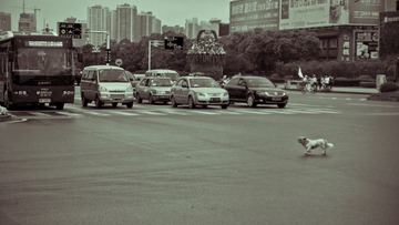 P1000233-2.jpg
