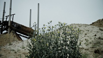 P1000443.jpg