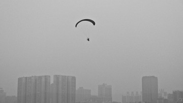 P1000805.jpg