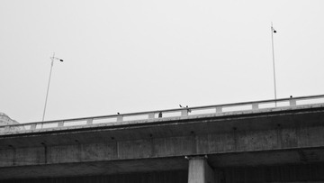 P1000836.jpg