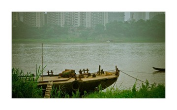 P1000869g.jpg