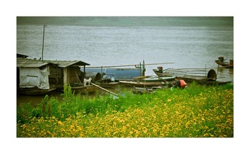 P1000873g.jpg