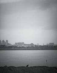 IMG_0890.jpg