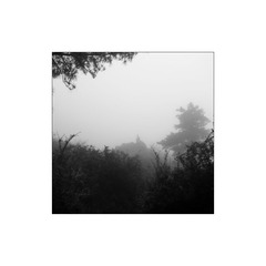 DSCF7144.JPG