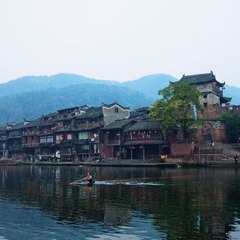 凤凰的早晨2