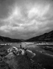 DSC_2133a