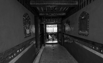 DSC_1686h