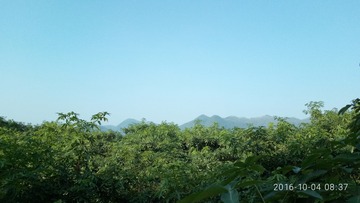 173081
