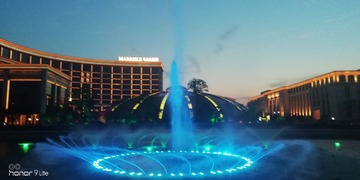 251