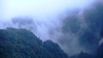 25AC79C8-5D80-45AD-B654-86199C73996D/L0/001