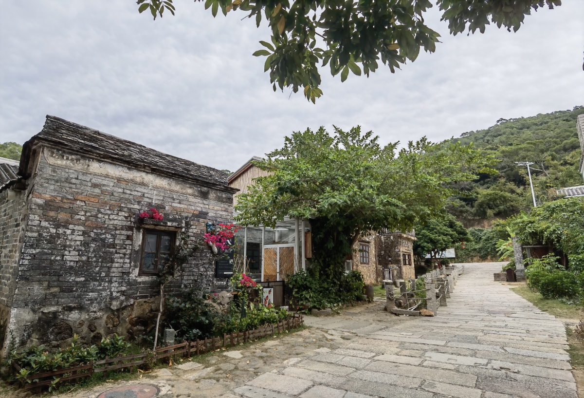 谷寮村曾是南宋海上丝绸之路重要补给点村内错落分布着广府特色民宿群