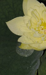 998367