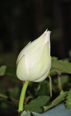 983925