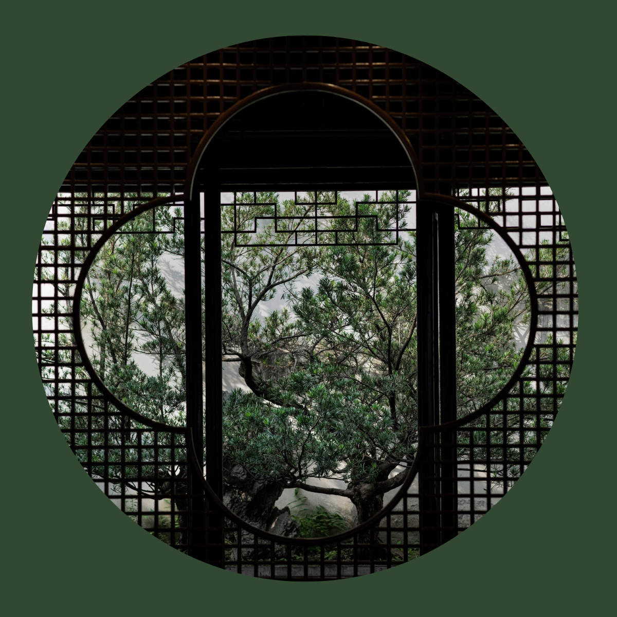 性瞬间旅行东八区影像风光苏州园林江南苏州园林#窗户还没有人打赏,快