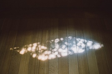 1303721