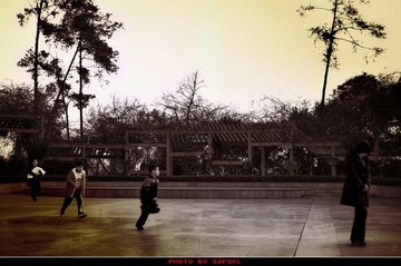 植物园01-3