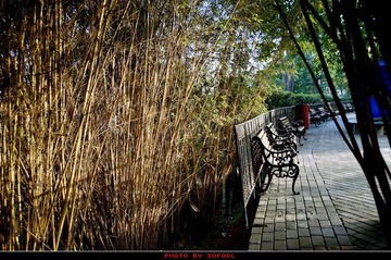 植物园01-10