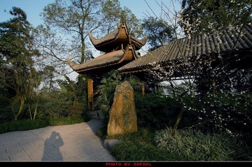 植物园01-11