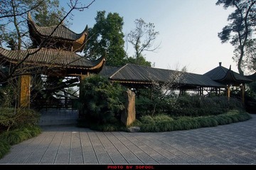 植物园01-12