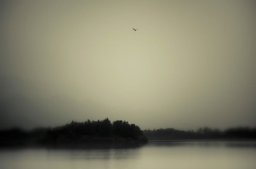 DSC_8087-编辑.jpg