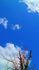 4月原始 (5)