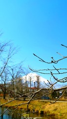 4月水印 (1)
