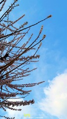 4月水印 (7)