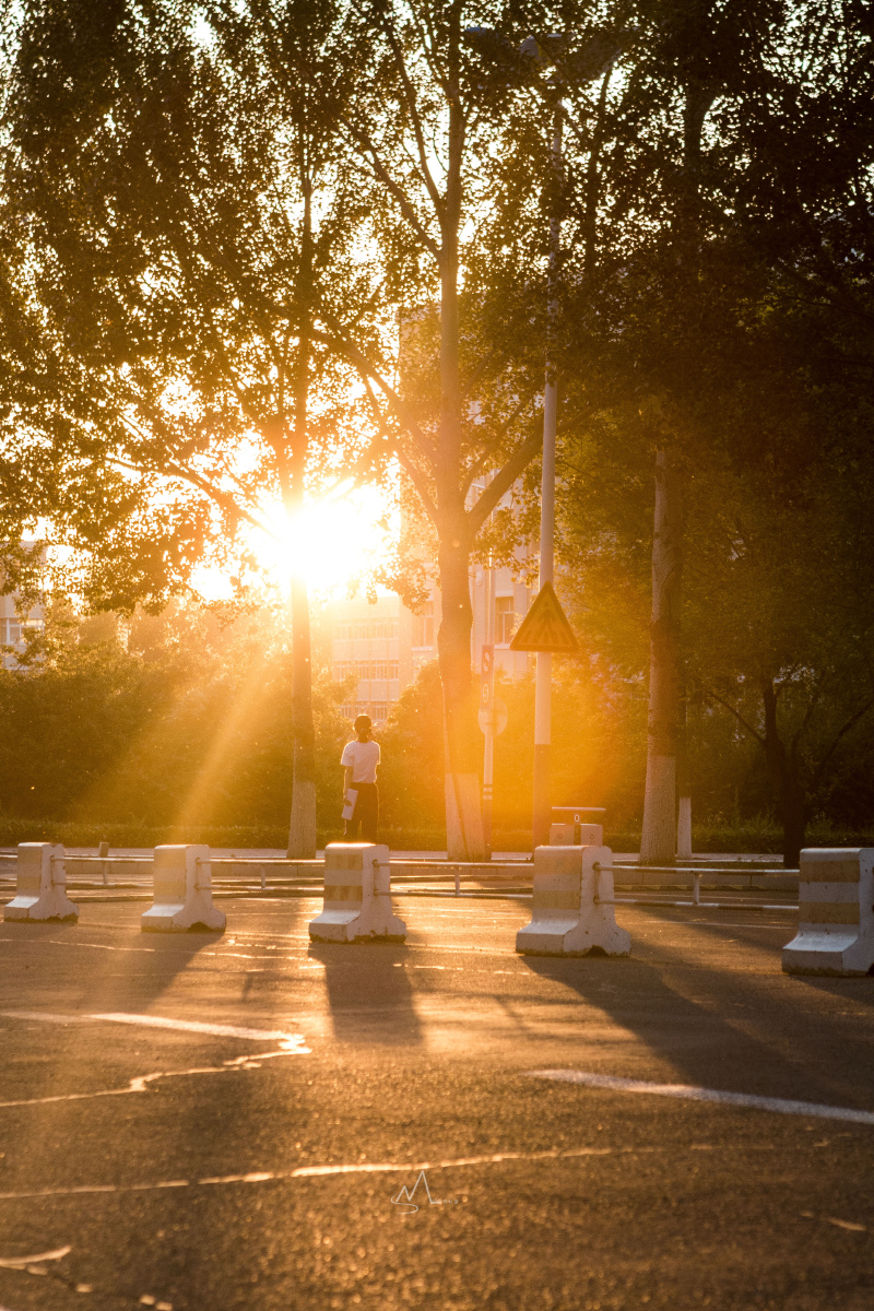 阳光下温暖的校园